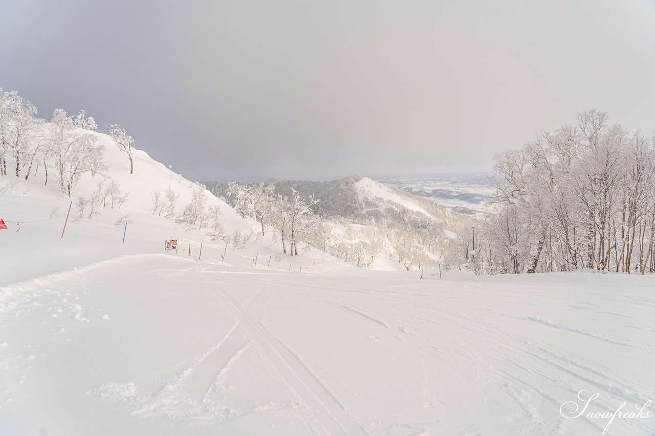 富良野スキー場　気温 -14℃。ダイヤモンドダストが煌めく、国内屈指のリゾートゲレンデを堪能♪